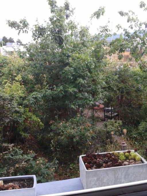 Logement Independant Colmar Dış mekan fotoğraf