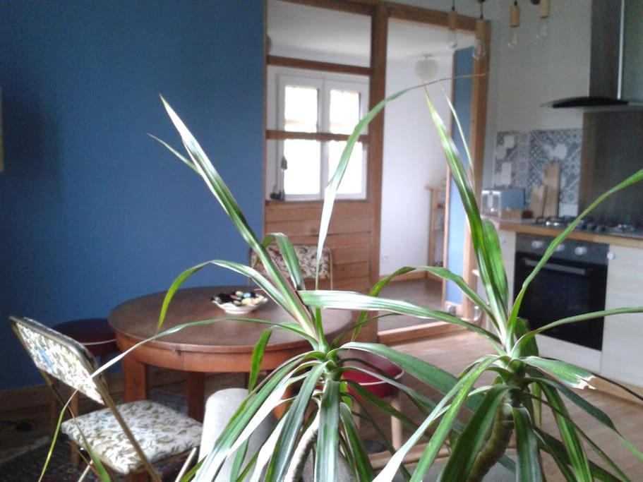 Logement Independant Colmar Dış mekan fotoğraf