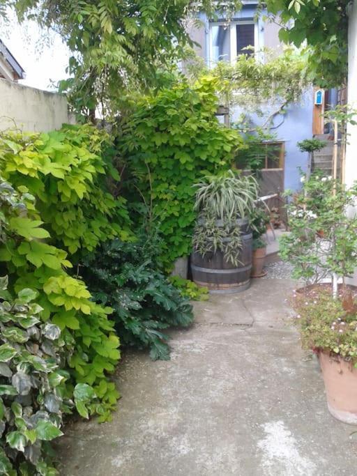 Logement Independant Colmar Dış mekan fotoğraf